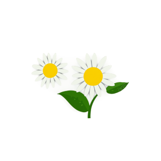 可爱的菊花插图素材