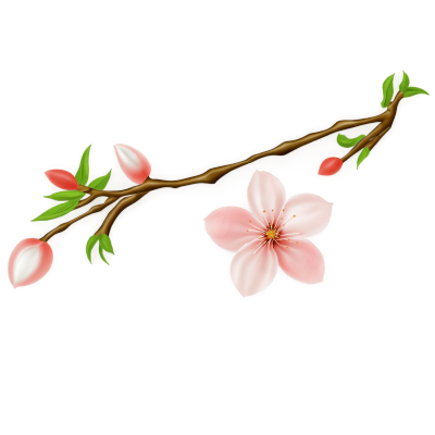 桃花插画素材