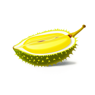 榴莲插画素材