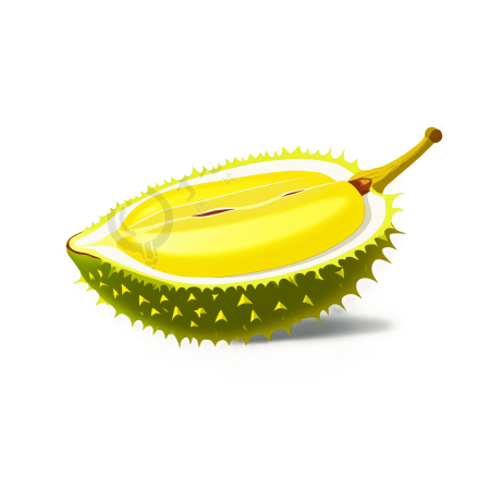 榴莲插画素材