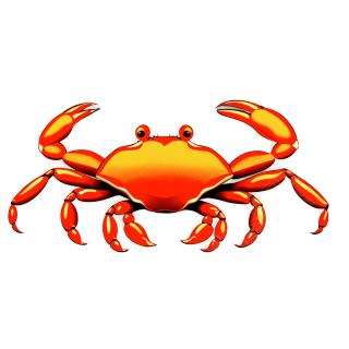 插画螃蟹PNG素材