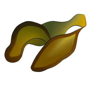 插画PNG素材