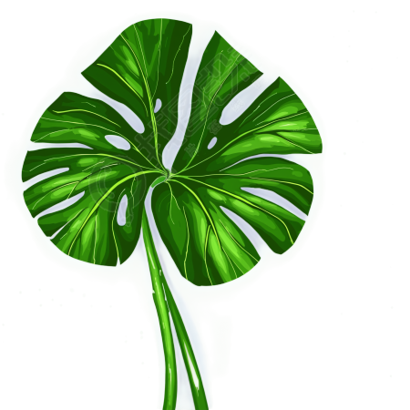 热带植物插画素材