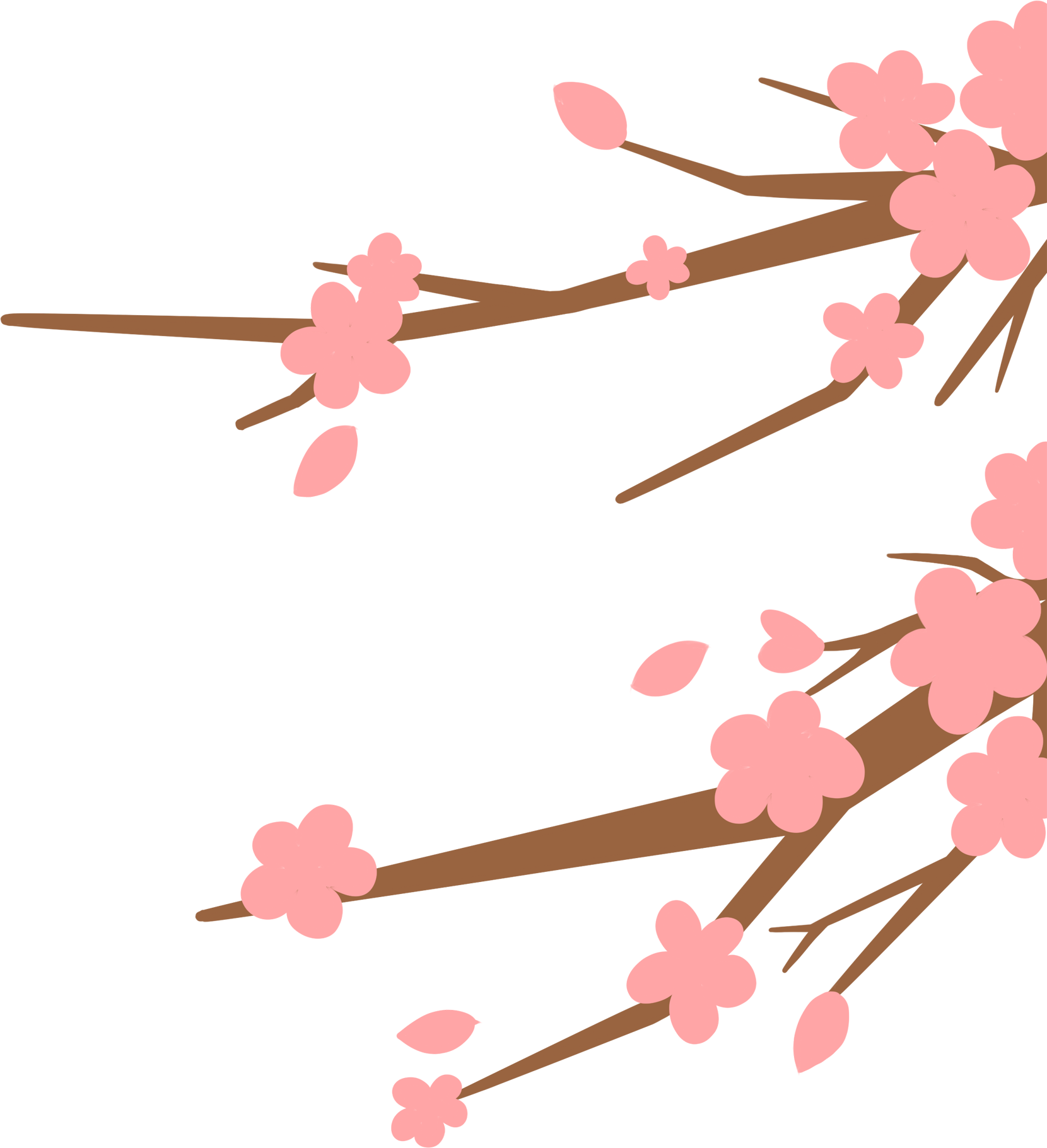 花枝片图片制作步骤！