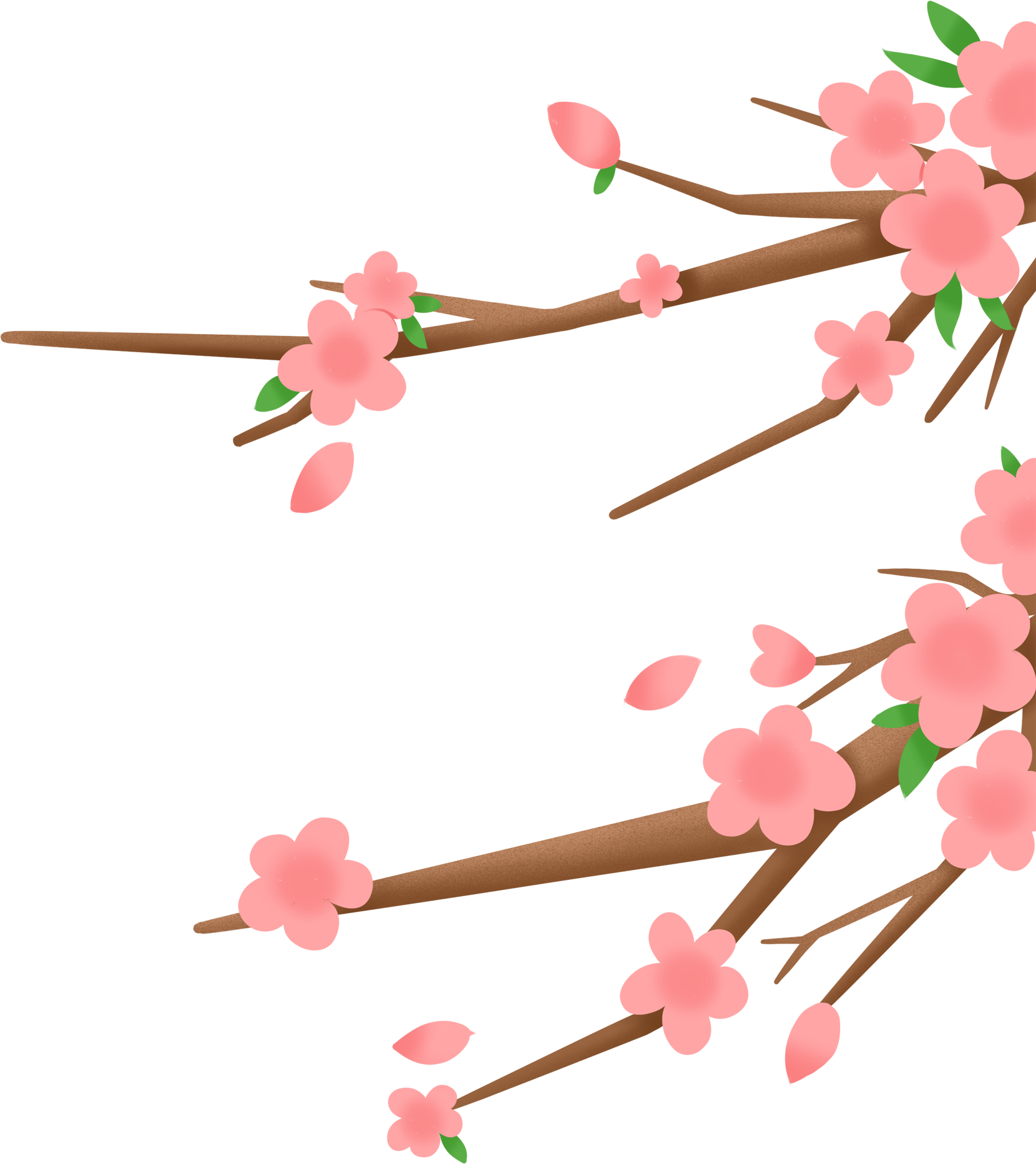 花枝片图片制作步骤！