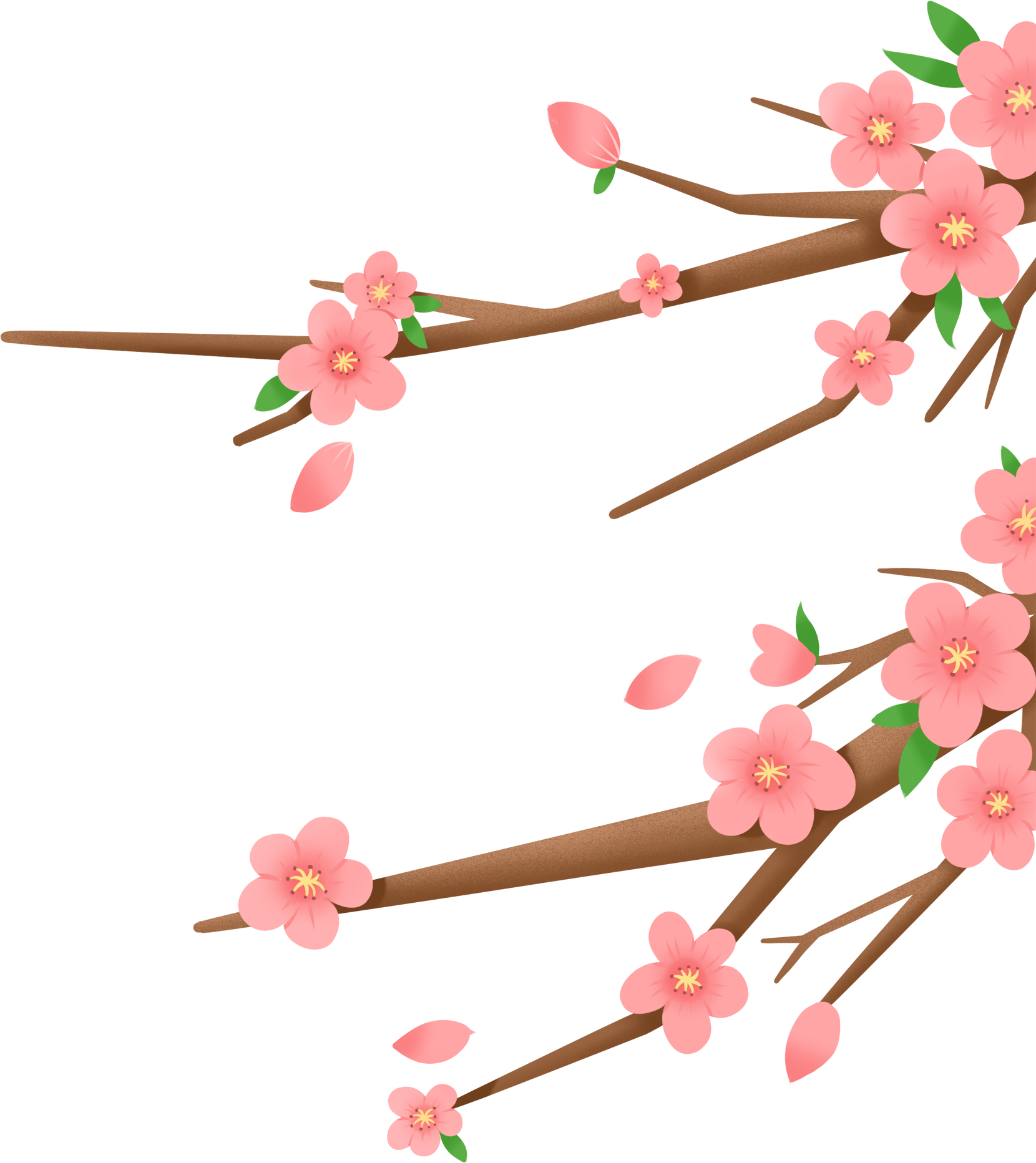 花枝片图片制作步骤！