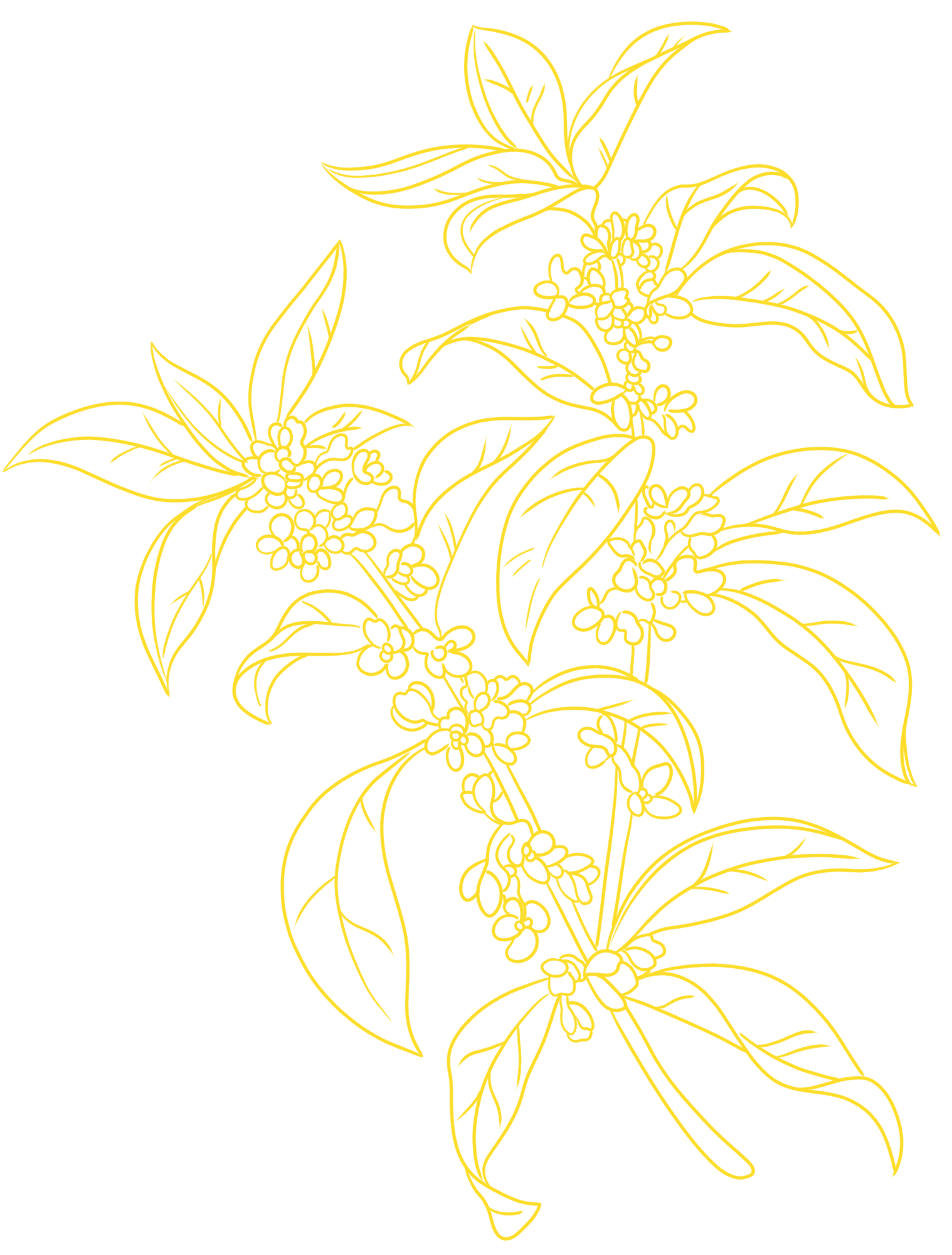 花绘画图片大全如何画？