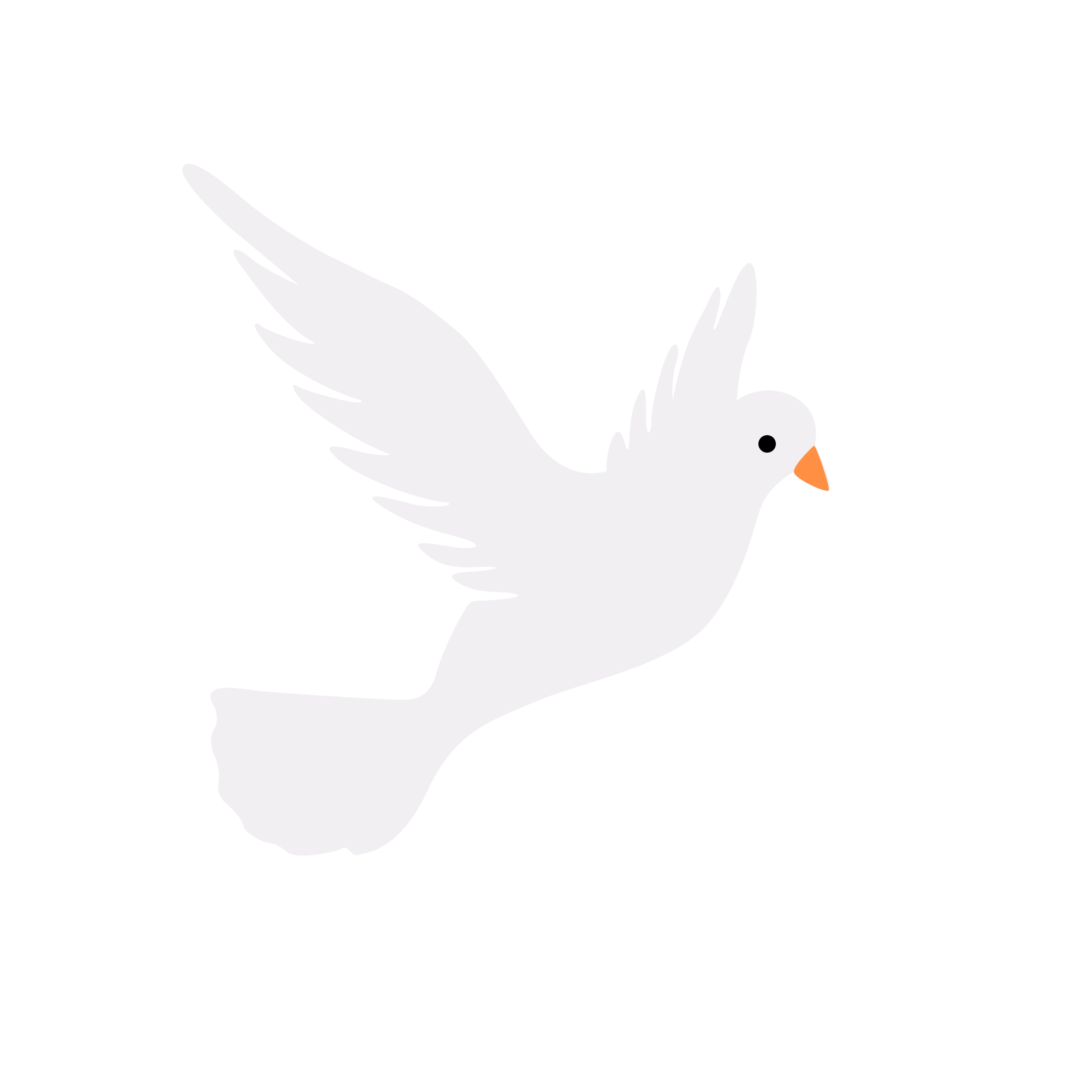 鸽子图片绘画上色怎样画？