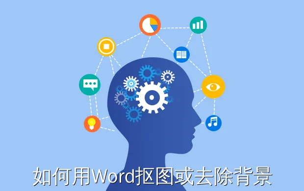 如何用Word抠图或去除背景色