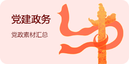 党建政务