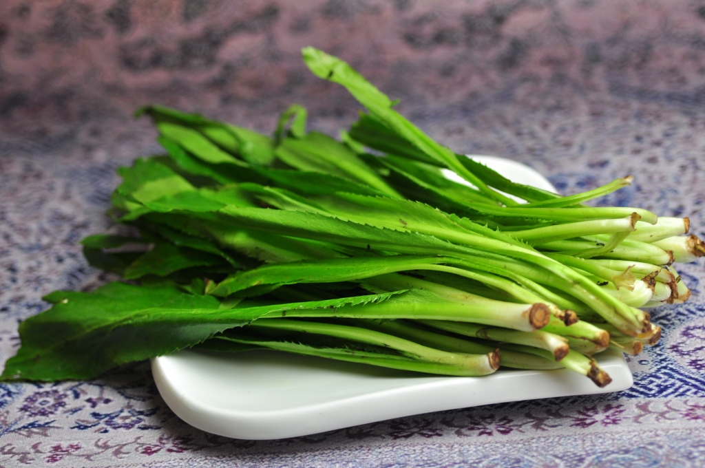 脆甜有机油麦菜版权图片下载