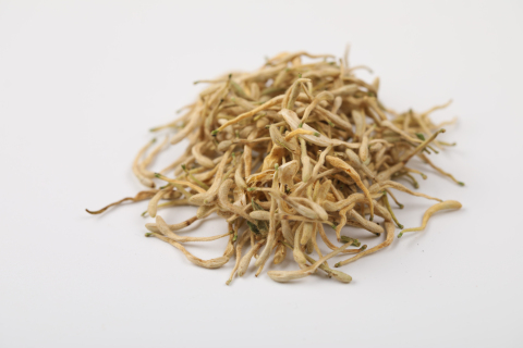 白纸上的金银花图片