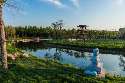湖心凉亭草地远景图