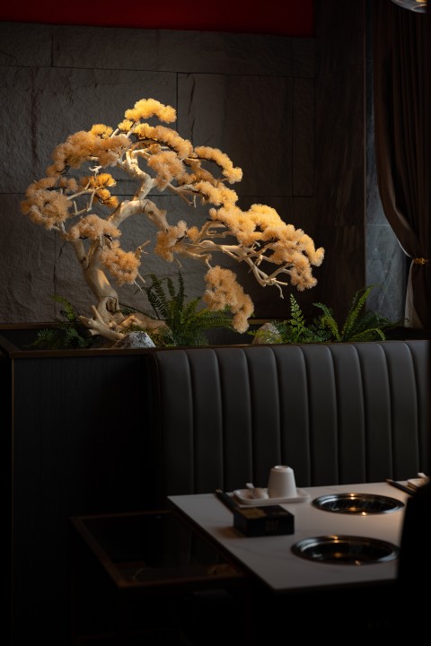 餐厅用餐区松树景台高清图版权图片下载