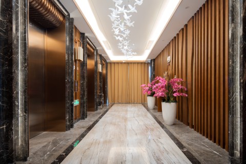 奢华商务酒店电梯间高清图