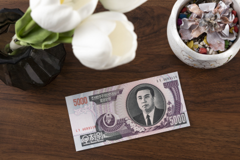 交易货币纸币郁金香鲜花摆拍图