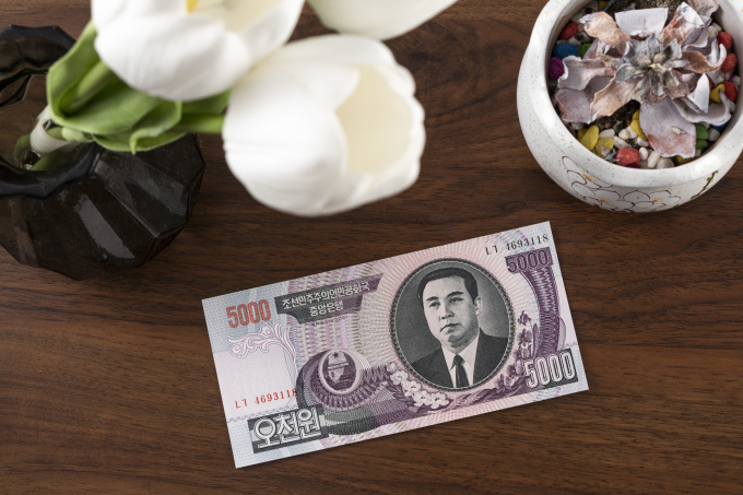 交易货币纸币郁金香鲜花摆拍图