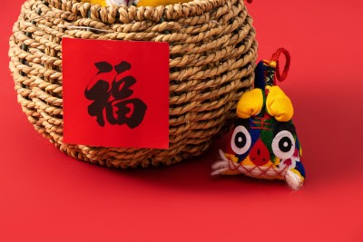 福气满满布老虎近景实拍图