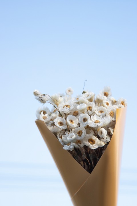 蓝天下的小雏菊鲜花花束图版权图片下载