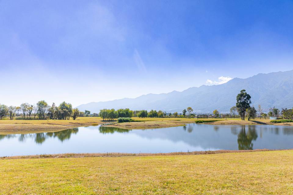 黄色草坪蓝天湖水远景高清图