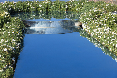 蓝色湖水湖边风光图