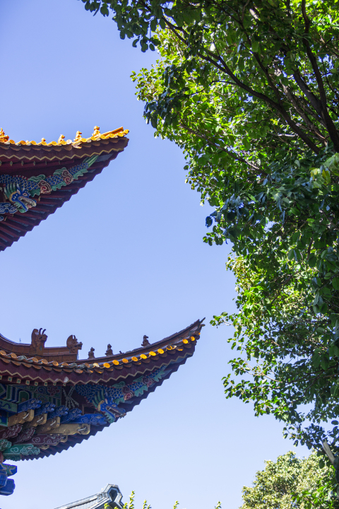 古式建筑阁楼树木风景图版权图片下载