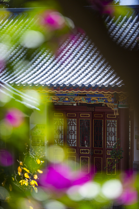 紫色小花古式庭院大厅图版权图片下载