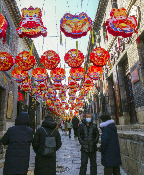 虎年老虎锦鲤灯笼实拍图版权图片下载