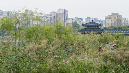 城市公园青草湖面亭阁楼台图