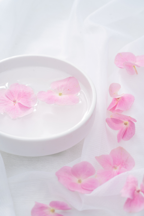 粉色绣球花花瓣唯美高清图版权图片下载