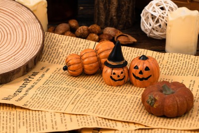 英文杂志万圣节枯木实拍图
