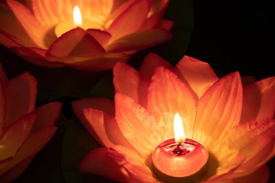 荷花花灯中元节祈愿实拍图