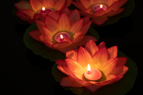 中元节放河灯祈福图片
