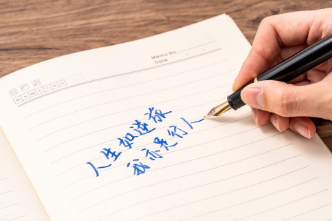 钢笔字教学展示图