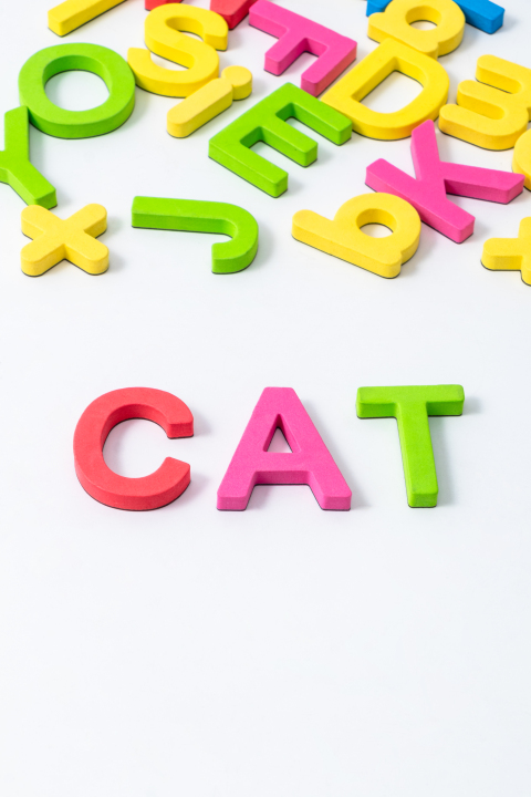 儿童字母积木拼写小猫实拍图版权图片下载