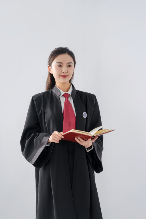 手拿宪法的法官远景图版权图片下载