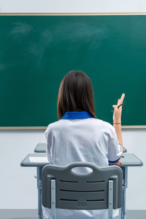课堂上举手发言的女生背影高清图版权图片下载