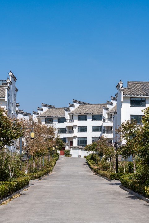 春天园区里的绿意实拍图版权图片下载