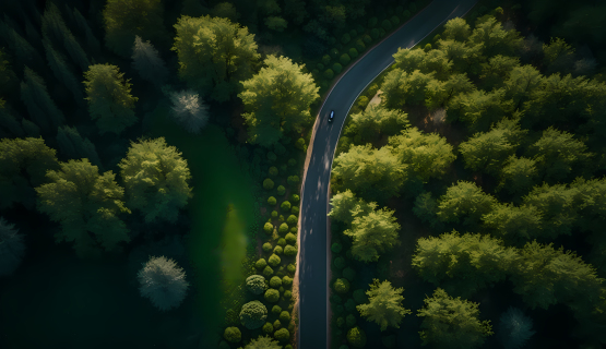 青朝林间公路摄影图片