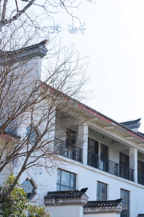 白墙与特色屋檐实拍图版权图片下载