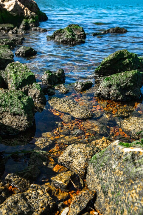 礁石湖水风光图版权图片下载