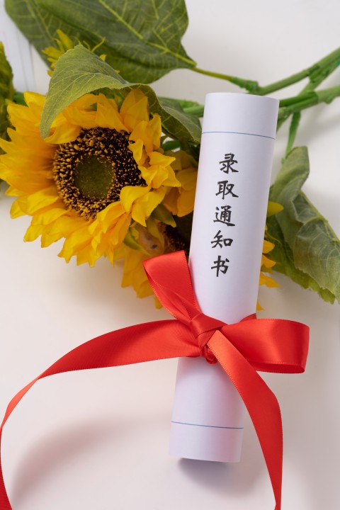 鲜花与通知书实拍图版权图片下载