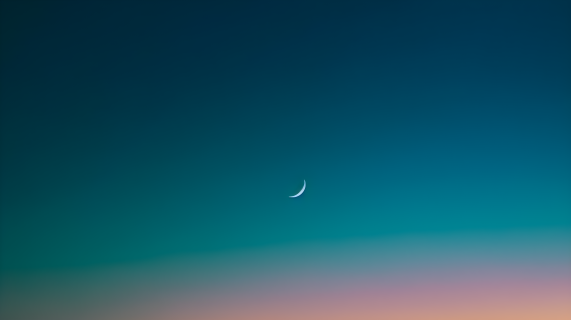 月光染织林间摄影图
