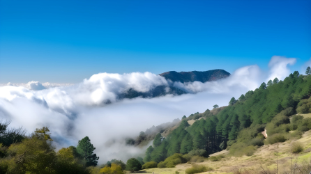 云山青翠，道中乐。