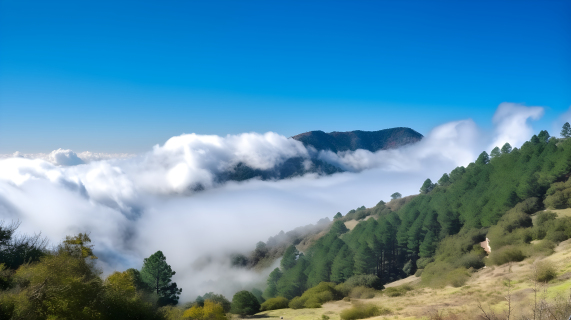 云山青翠，道中乐。
