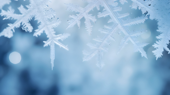 冬季雪花特写摄影图