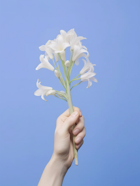 手握白花的摄影图