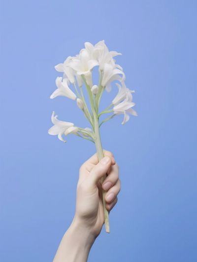 手握白花的摄影图