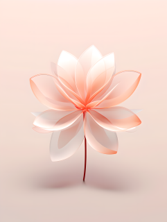 极简花瓣轻柔摄影图