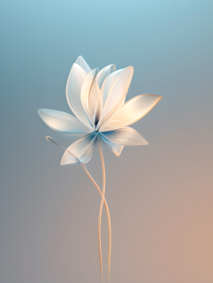 简约柔和花瓣摄影图